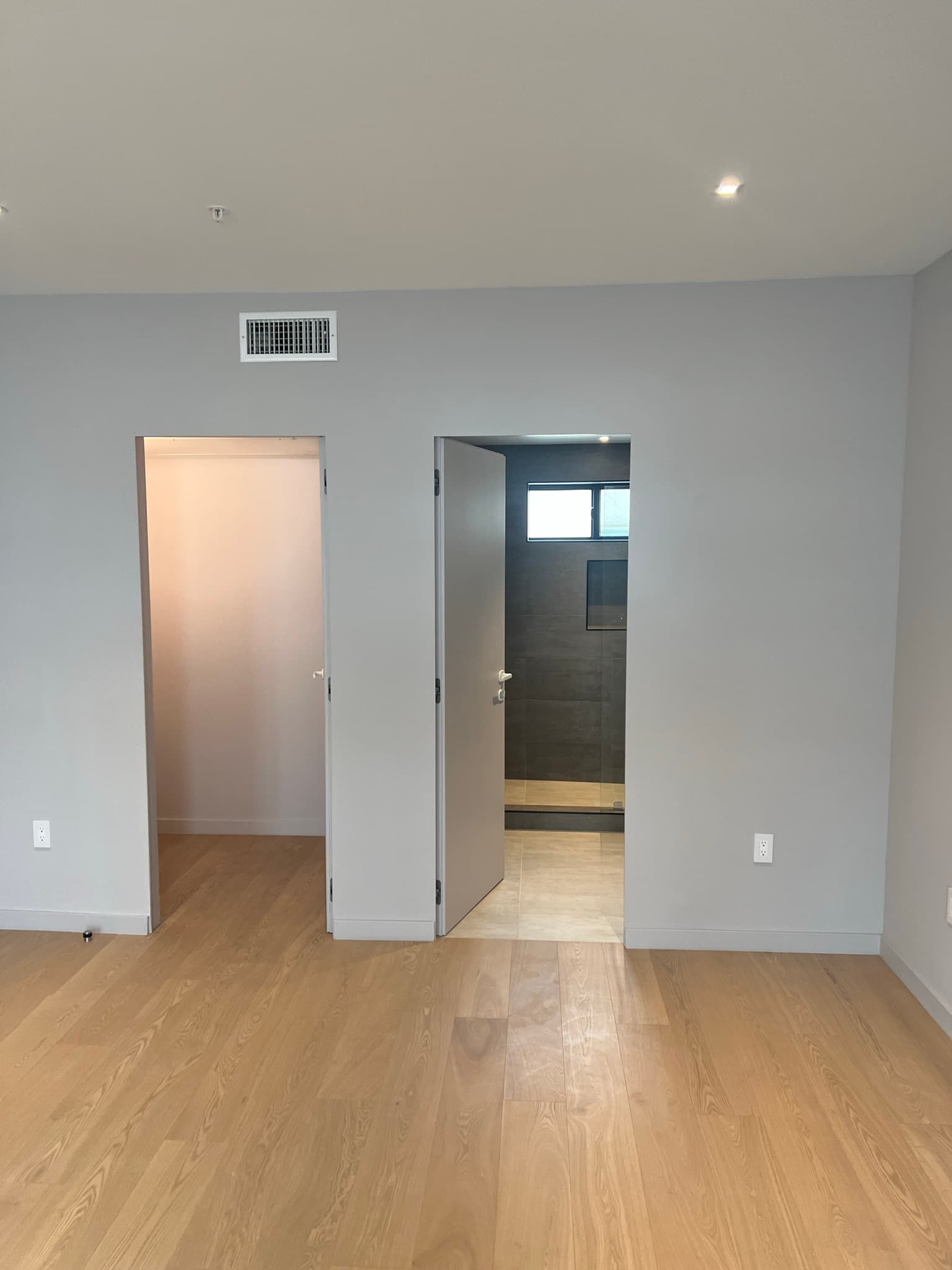 Doran Townhomes primary bedroom with walk-in closet and en-suite bath